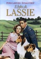 Il Figlio Di Lassie (1945) DVD