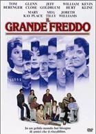 Il Grande Freddo (1983) DVD