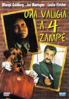 Una Valigia A 4 Zampe (2000) DVD